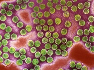 SEXUALITY: Οι λοιμώξεις της στοματικής κοιλότητας από HPV και η πρόληψή τους