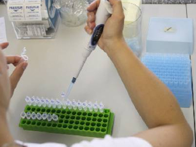 Γονιμότητα: Η επιδημία του ιού HPV