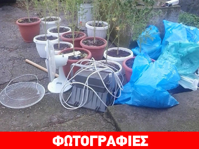 Κιλκίς: Συλλήψεις για υδροπονική καλλιέργεια κάνναβης