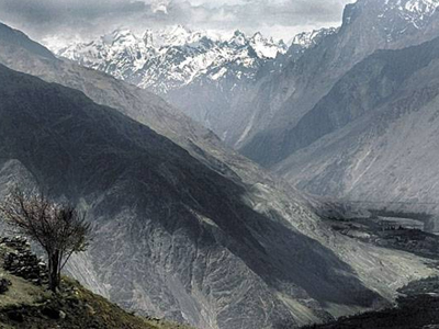 Το «βιάγκρα των Ιμαλαΐων»