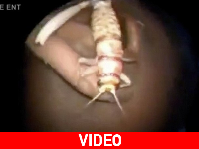 Ένας γρύλος ζούσε στο αυτί του