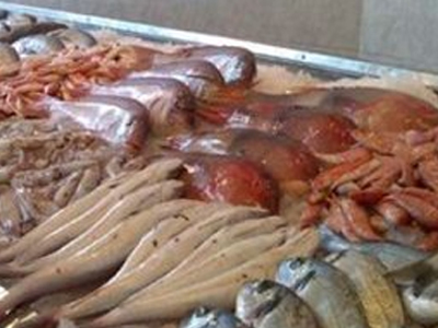 Έλεγχοι στην ιχθυόσκαλα Νέας Μηχανιώνας