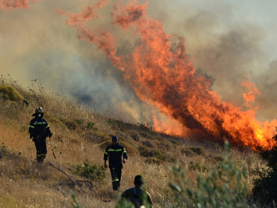 Μεσσηνία: Πυρκαγιά σε δύσβατη περιοχή