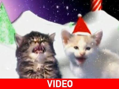Τα «Jingle Cats» επέστρεψαν σε… Blue – Ray!