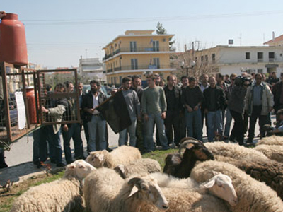 Κινητοποιήσεις από τους κτηνοτρόφους