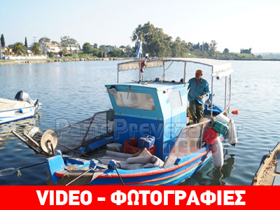 Παρέα με ένα δελφίνι στην Πρέβεζα