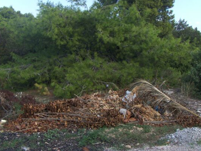 Θεσσαλονίκη: Ελεγχόμενη καύση κλαδεμάτων στο πρώην στρατόπεδο Ζιάκα
