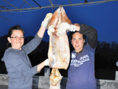 Καλαμάρι γίγας εντοπίστηκε στη Λέσβο