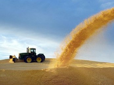 Μολυσμένο με τοξικές και καρκινογόνες ουσίες το σερβικό καλαμπόκι