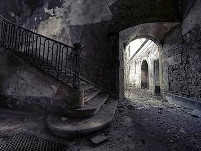 Βρήκαν καταφύγιο μέσα στις στάχτες