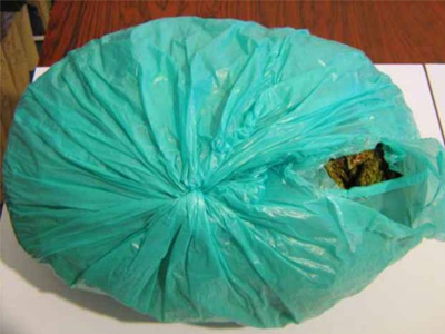 Κατάσχεση μεγάλης ποσότητας κάνναβης στην Πέραμο