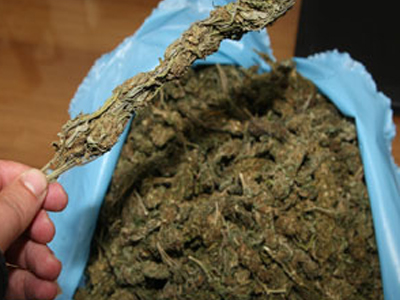 Είχε στην κατοχή του 20 κιλά κάνναβης