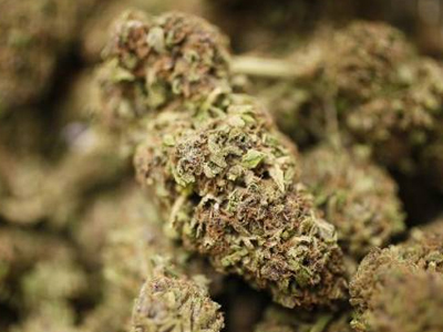 Μία σύλληψη για κατοχή κάνναβης στη Ρόδο