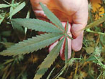 Συλλήψεις για ναρκωτικά στην Ηγουμενίτσα