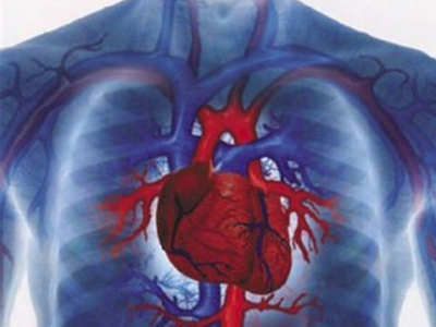 Υψηλή θνησιμότητα από παθήσεις της καρδιάς