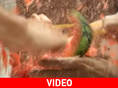 Ένα άχρηστο πείραμα