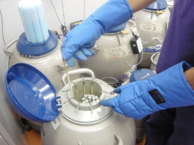 Γονιμότητα: Πόσο «αξίζει» να καταψύξεις τα ωάρια σου;