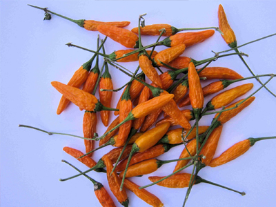 Τα «καυτερά» προστατεύουν την καρδιά