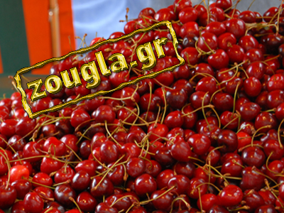Έρχονται τα κεράσια με… 110 ευρώ το κιλό