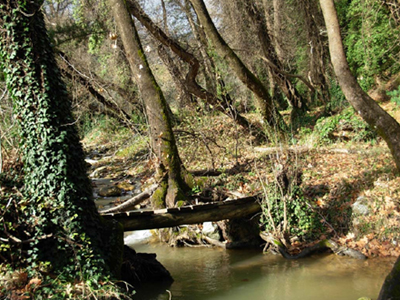 Καθαρισμός ρεμάτων στην Κύμη