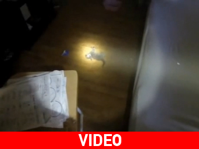 Η ανθρωπιά σε όλο της το μεγαλείο