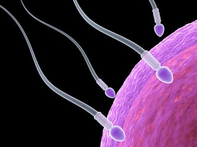 SEXUALITY: Αμερικανοί ερευνητές στοχεύουν στην παραγωγή ανθρώπινων σπερματοζωαρίων από βλαστοκύτταρα