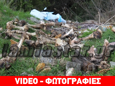 Λαμία: Πέταξαν κόκαλα ζώων σε συνοικισμό
