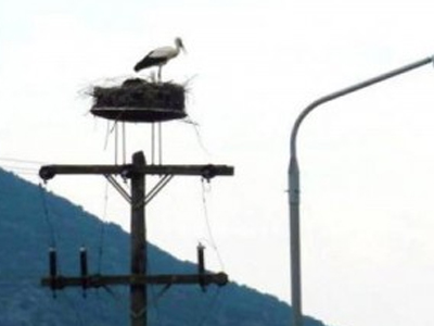 Μαγνησία: Φωτιά σε κολώνες της ΔΕΗ