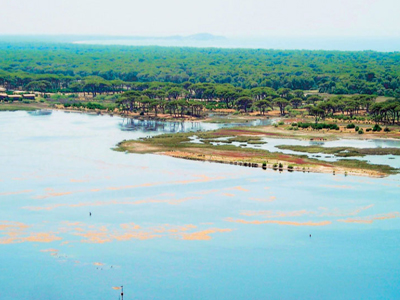 Μελέτη για την προστασία της λιμνοθάλασσας στο Κοτύχι