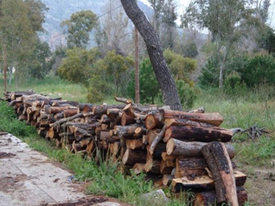 Συνεχίζεται η λαθροϋλοτομία στην Πάτρα
