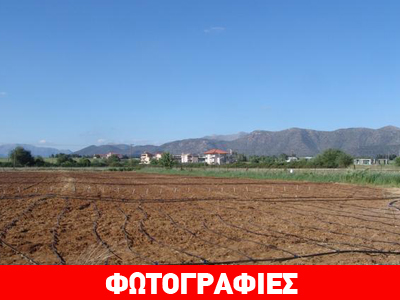 Δημοτικός λαχανόκηπος στην Τρίπολη