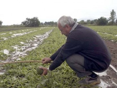 ΕΛΓΑ: Παράταση για την καταβολή της ειδικής ασφαλιστικής εισφοράς από τους αγρότες