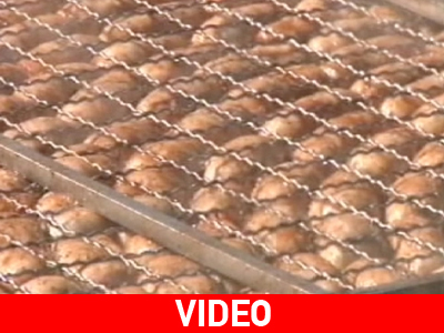 Λουκάνικο για ρεκόρ… Γκίνες