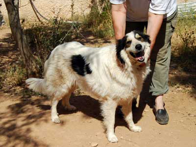 Η Λούση ψάχνει σπίτι