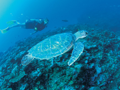 Το μεγαλύτερο δίκτυο θαλασσίων πάρκων στην Αυστραλία