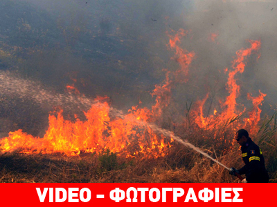 Πύρινα μέτωπα σε Χανιά, Κυπαρισσία και Αρεόπολη