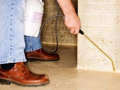 Βόλος: Εργασίες μυοκτονίας σε σχολικό συγκρότημα