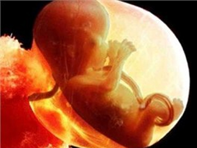 Γονιμότητα: Μάθετε το φύλο του μωρού σας από την 7η εβδομάδα της κύησης