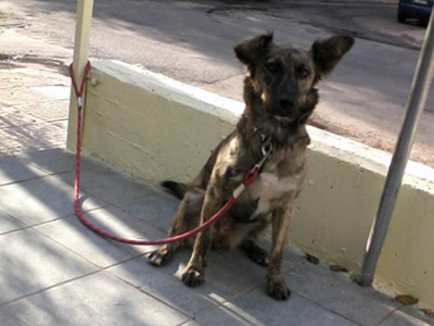 Η Ναόμι ψάχνει σπίτι