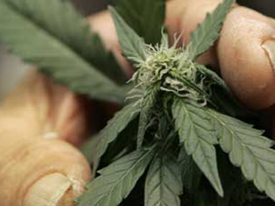 Συλλήψεις για ναρκωτικά στα Χανιά