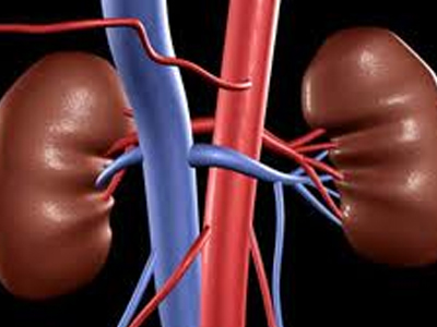 Ποια είναι τα σημάδια της νεφροπάθειας;