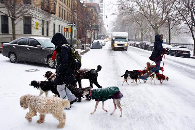 Εικόνα από το Morningside Park στη Νέα Υόρκη