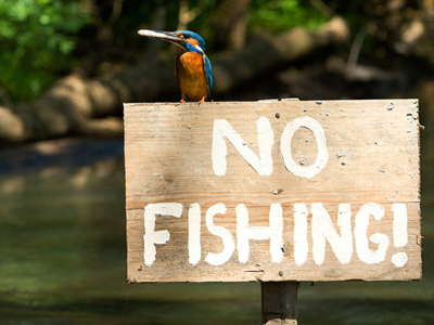 Απαγόρευση αλιείας στη λίμνη Βεγορίτιδα