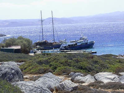 «Οργώνουν» την Ντία για το ανθρώπινο οστό