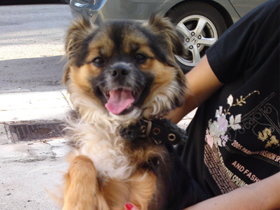 Χαρίζεται η Ντόρα