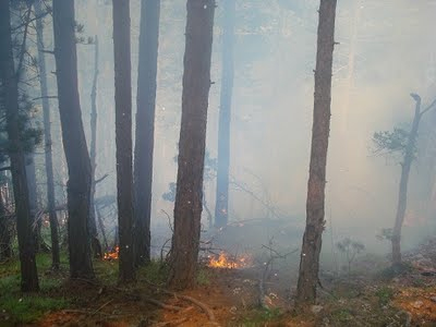 Πυρκαγιά στον Όλυμπο