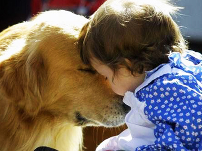 Οι οικόσιτοι σκύλοι προστατεύουν τα βρέφη από ορισμένες λοιμώξεις