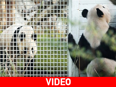 Συνεχίζεται το… ψηστήρι!