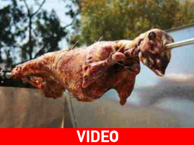 Το γλέντι ξεκίνησε από νωρίς…