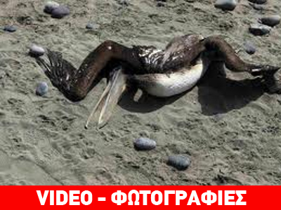 Αυξάνονται ανησυχητικά οι θάνατοι – μυστήριο